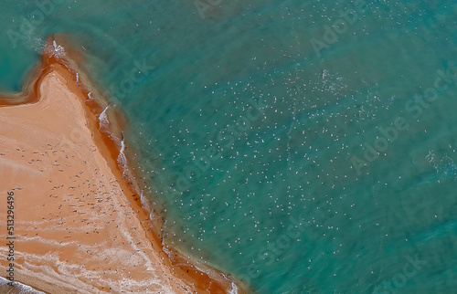 Sand bar and water birds, Gulf of Carpentaria