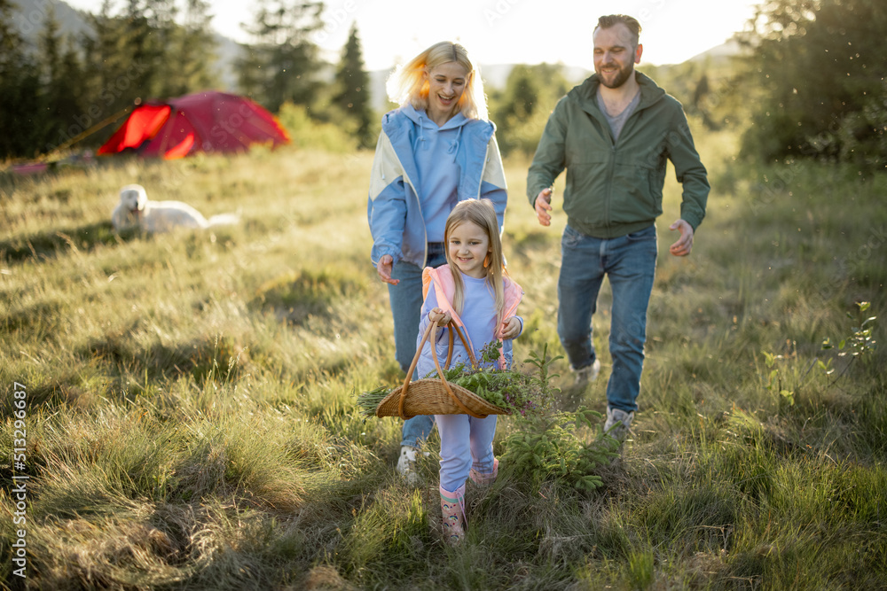 Little girl walks with basket full of wildflowers her parents running behind. Young family happily spending summer time traveling in the mountains Little girl walks with basket full of wildflowers her parents running behind. Young family happily spending summer time traveling in the mountains