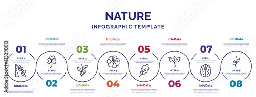 infographic template with icons and 8 options or steps. infographic for nature concept. included mountain pse, pinnation, hibiscus, oak leaf, cuspicate, human brian, perfoliate icons. photo