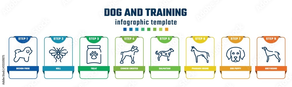 dog and training concept infographic design template. included bichon frise, null, treat, chinese crested, dalmatian, pharaoh hound, dog puppy, greyhound icons and 8 options or steps.
