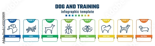 dog and training concept infographic design template. included dog licking, locust, doberman, pollen beetle, null, chow chow, beagle, bas hound icons and 8 options or steps.