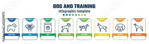 dog and training concept infographic design template. included bichon frise, null, treat, chinese crested, dalmatian, pharaoh hound, dog puppy, greyhound icons and 8 options or steps.