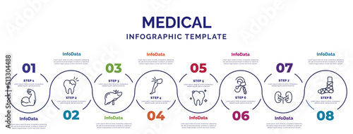 infographic template with icons and 8 options or steps. infographic for medical concept. included arm, liver, knee, molar, otoscope, kidney, plastered foot icons.