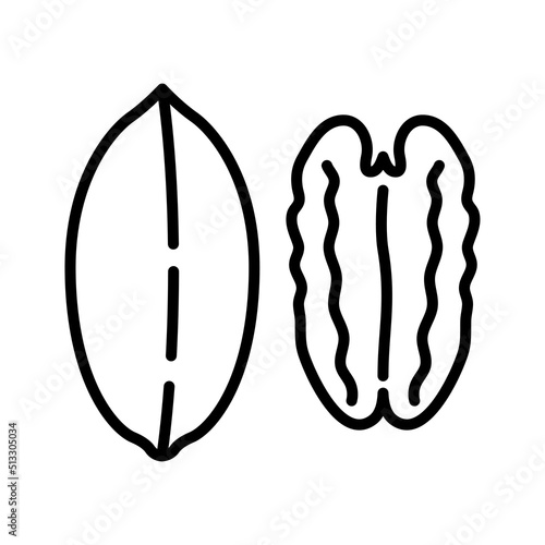 Pecan nuts icon. Pictogram isolated on a white background. photo