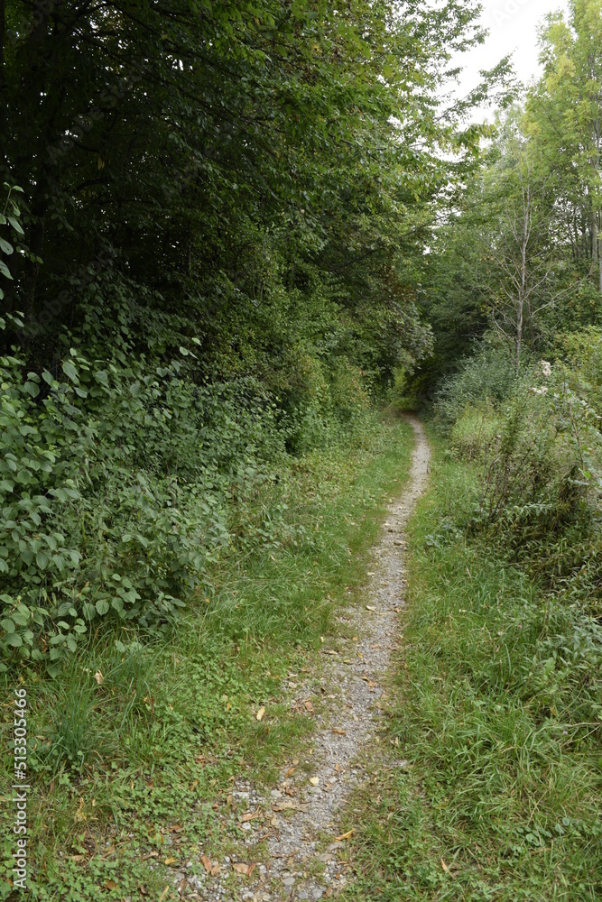 abwasserkanal einer kläranlage abwasserkanal einer kläranlage