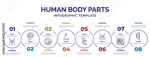 infographic template with icons and 8 options or steps. infographic for human body parts concept. included human abdomen, basophil, male e of a line, two spermatozoon, human neck, skin cells, ear