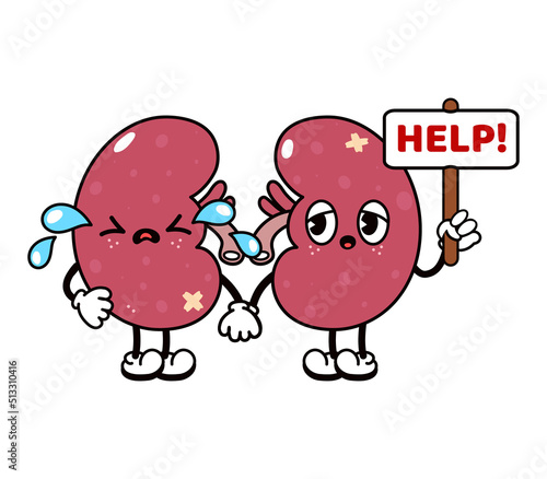 Cute funny crying sad kidneys character. Vector hand drawn traditional cartoon vintage, retro, kawaii character illustration icon. Isolated on white background. Cry kidneys character concept