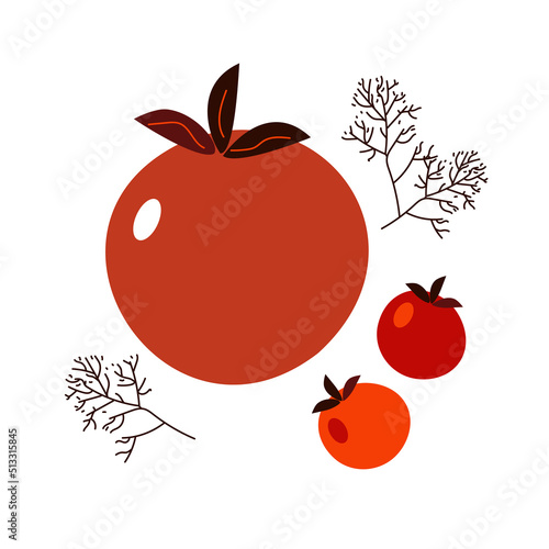 red tomato and dill, doodle vector illustration