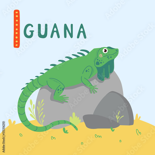 Cute green Iguana with long tail on stones. Zoo cute animal for kids design