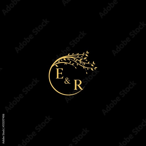 ER nature theme logo initial concept with high quality logo design