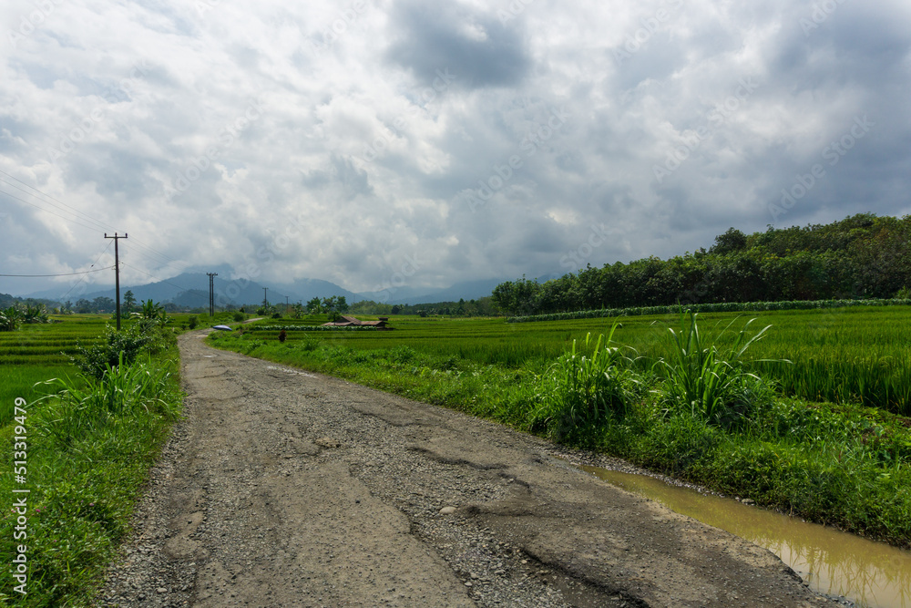 broken road with puddles and village view in indonesian agricultural area