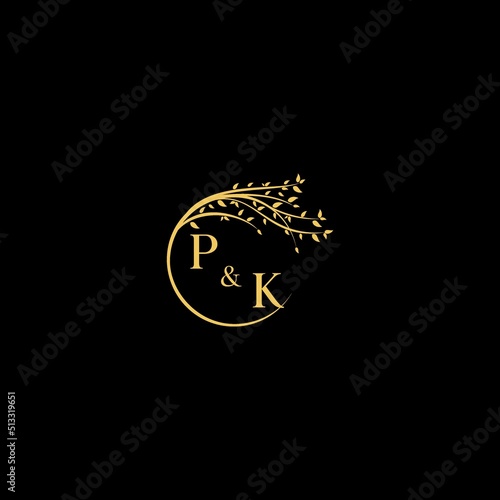 PK nature theme logo initial concept with high quality logo design