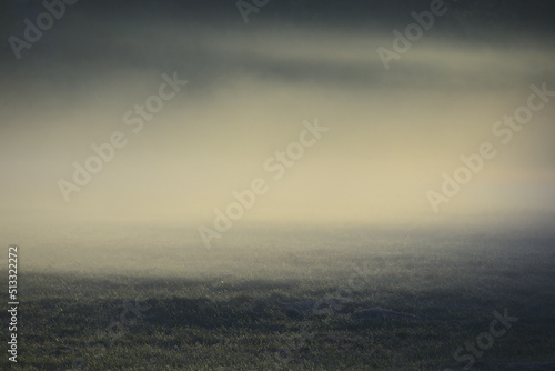 Łąka we mgle