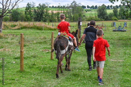 balade ballade âne anesse enfant visite ferme Wallonie Belgique bature © JeanLuc