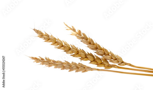 Ears of wheat golden isolated on white 