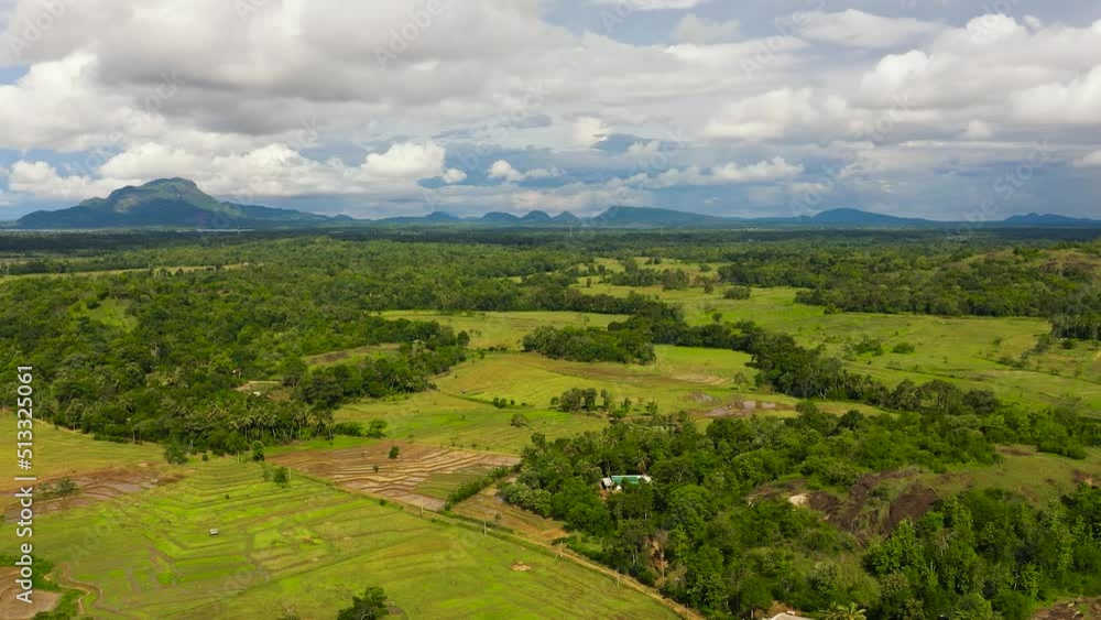 Aerial drone of rice fields and agricultural land in the countryside. Sri Lanka. Aerial drone of rice fields and agricultural land in the countryside. Sri Lanka.
