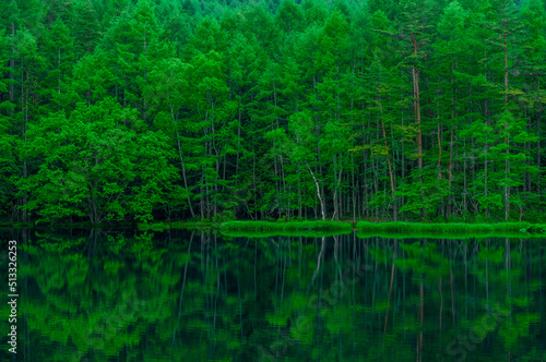 新緑の御射鹿池