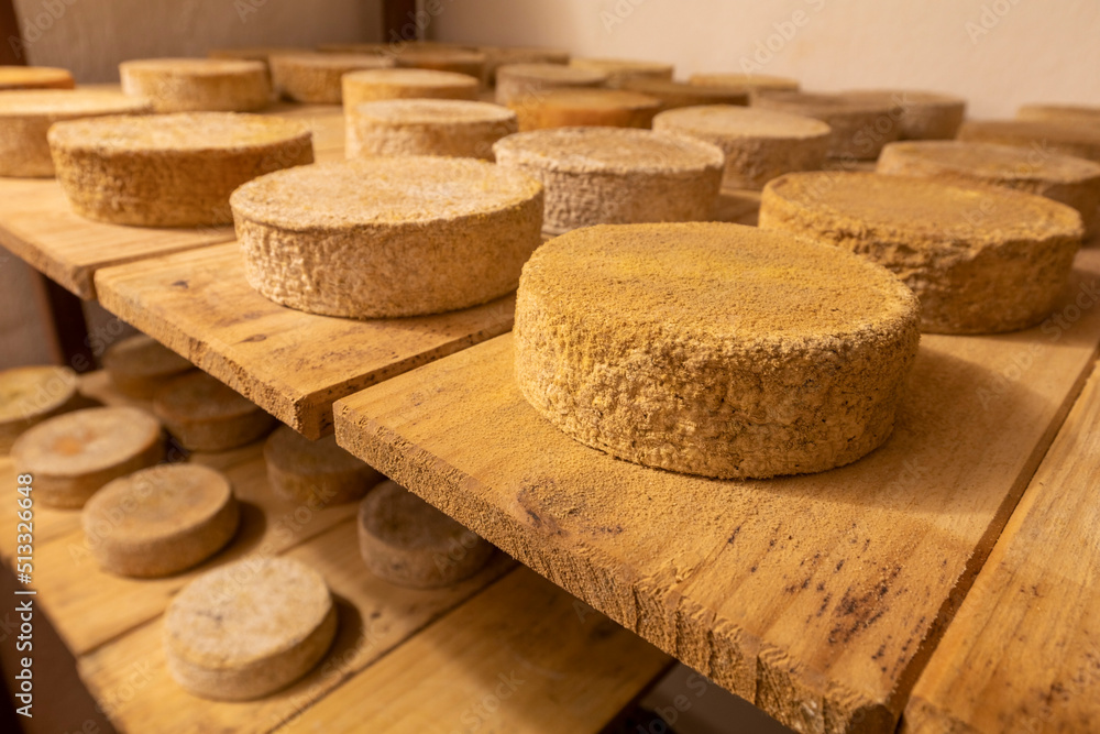 Production of artisanal cheese and other delicacies in Serra da Canastra in Minas Gerais