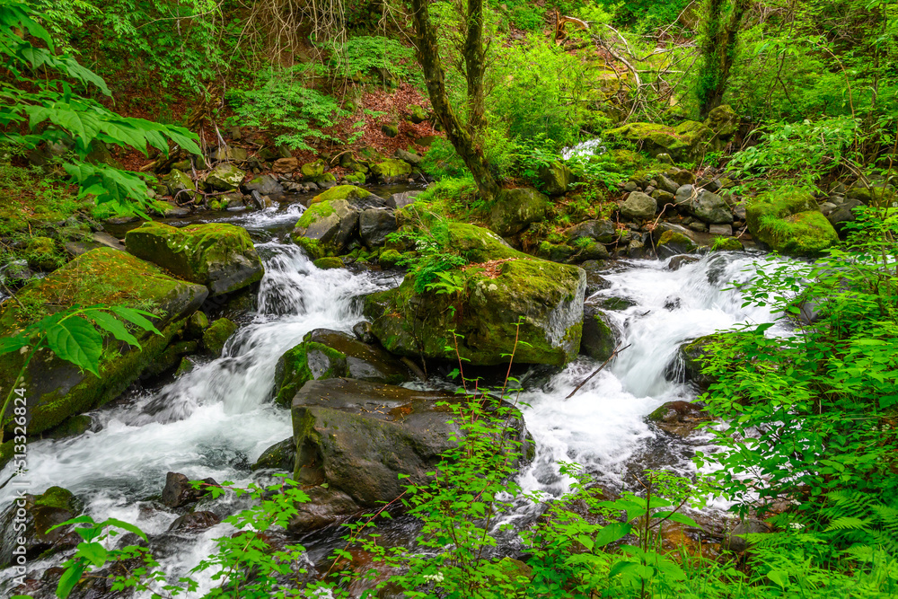 Obraz premium 新緑の蓼科大滝