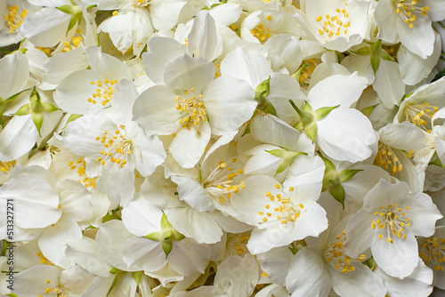 Jasmine flower in a rustic bowl.