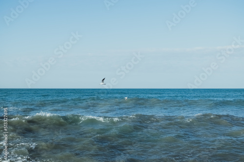 beach and sea