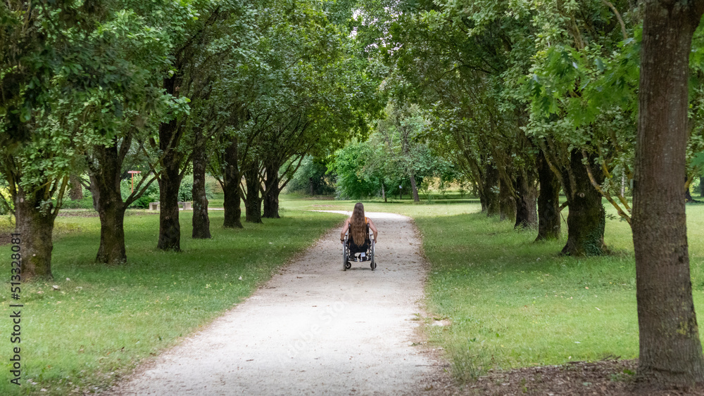 Young woman with long hair, moving in a wheelchair, from behind, in the middle of an alley lined with tall green trees Young woman with long hair, moving in a wheelchair, from behind, in the middle of an alley lined with tall green trees