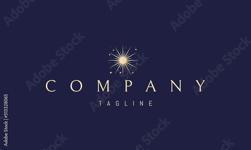 Vector golden logo on which an abstract image of a brightly shining star against the background of stars.