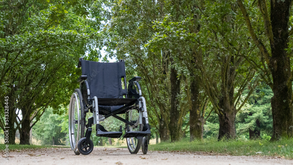 Wheelchair, on a path lined with trees, in the middle of a green park