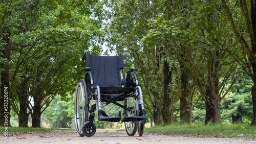 Wheelchair, on a path lined with trees, in the middle of a green park