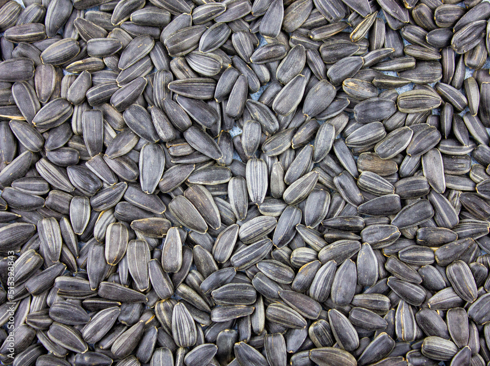 Sunflower seeds background.Natural roasted sunflower seeds. Sunflower seeds background.Natural roasted sunflower seeds.