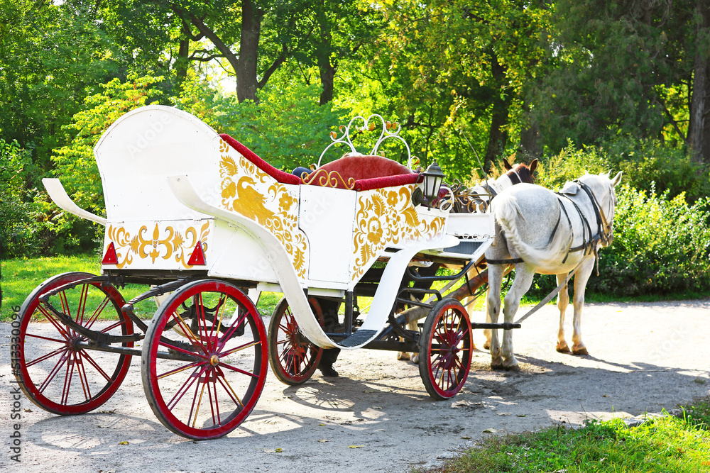Very beautiful white cart in the park Oleksandriya, Bila Tserkva, Kyiv region, Ukraine