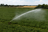 A jet water sprayer irrigating crops in dry weather