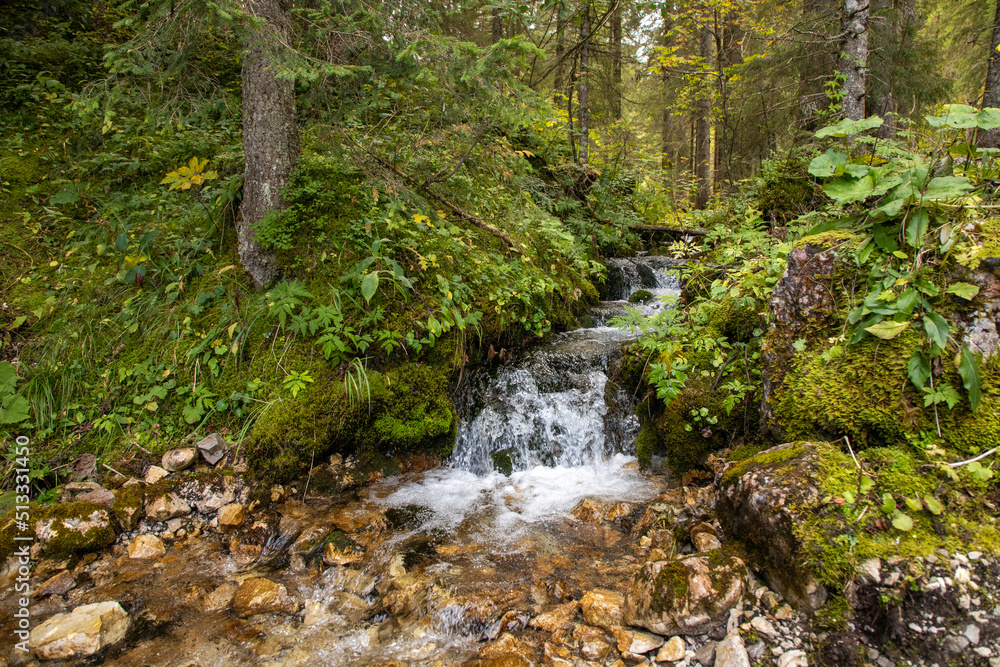 Waterfall in the forest at the european alps during a hiking tour to the small Waterfall in the forest at the european alps during a hiking tour to the small