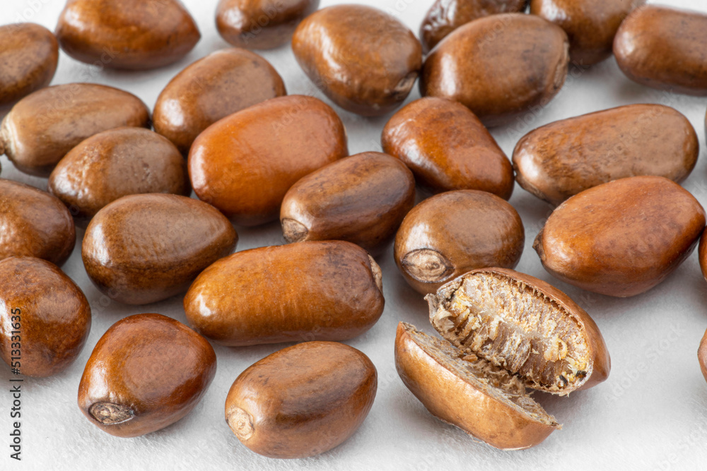 Close-up of pebe or monodora nut, the nutmeg of Gabon, a spice native to Africa Close-up of pebe or monodora nut, the nutmeg of Gabon, a spice native to Africa