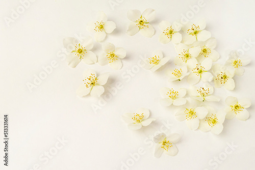 Scattered white flowers of Jasmine or Philadelphus on a white background. Close-up. Mockup for text for a postcard or invitation.
