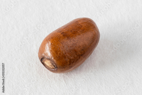 Close-up of pebe or monodora nut, the nutmeg of Gabon, a spice native to Africa photo