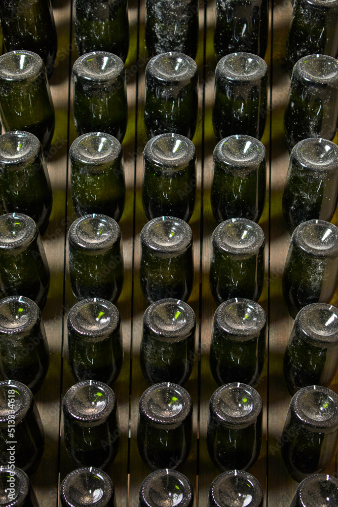 Obraz premium wine bottles on racks in the cellar.