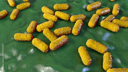Enterobacter bacteria, gram-negative rod-shaped bacteria, part of normal microbiome of intestine photo
