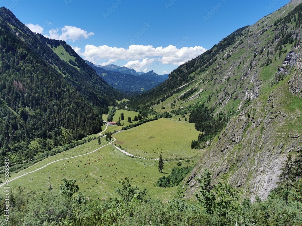 Alp in valley of Oytal canyon in Bavaria Germany. Summer time.