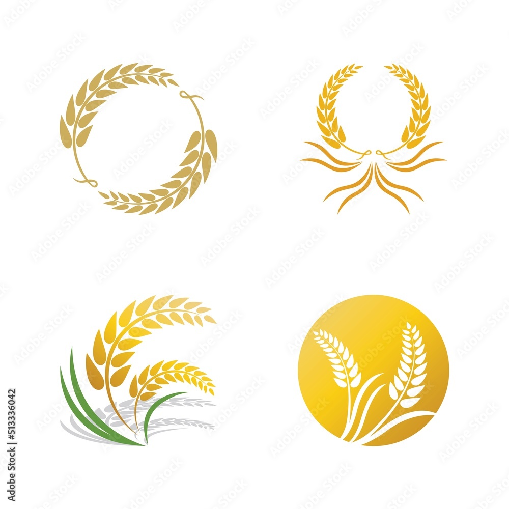 Obraz premium Wheat logo vector icon illustration