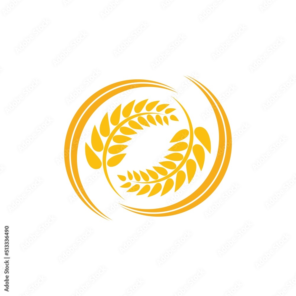 Obraz premium Wheat logo vector icon illustration