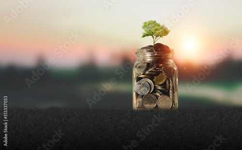 capital increase Finance and investment. Diagram. Finance and banking business concept. Savings on Bokeh Green Backgrounds Trees that grow with coins are popular.