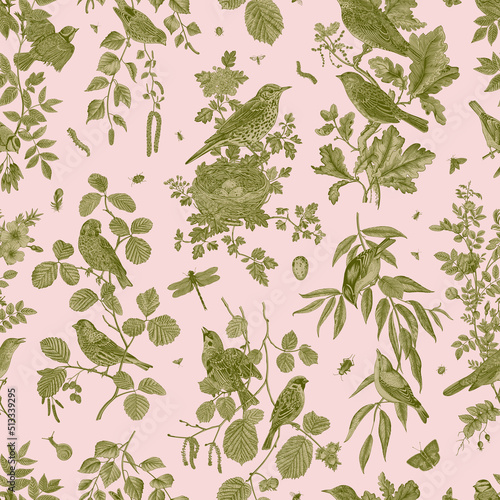 Garden Birds. Seamless pattern. Vector vintage illustration. Pink and green