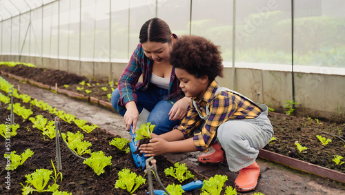 Adorable African farmer child boy with afro hairstyle and his mother planting vegetables in the greenhouse.