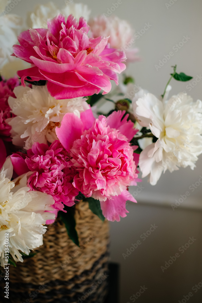 Flowering peony Bush. Bud of a peony. Green background. Beautiful peony Bud. Flowering peony Bush. Bud of a peony. Green background. Beautiful peony Bud.