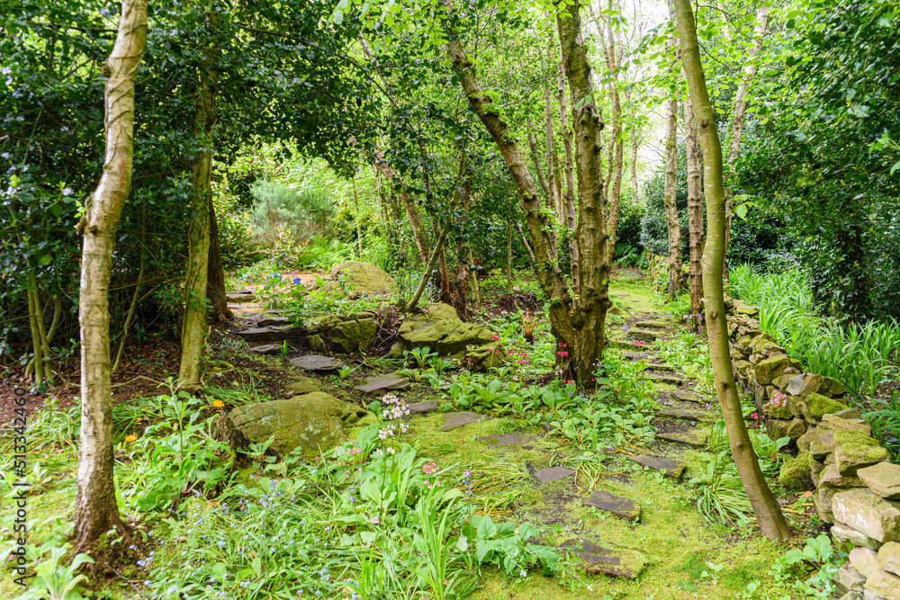 Stone path through a moss covered forest garden area.