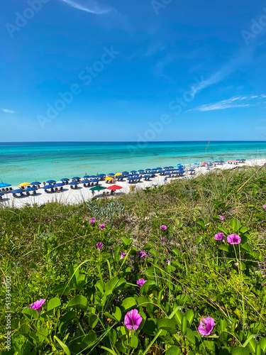 blue skies at the beach with crystal clear ocean