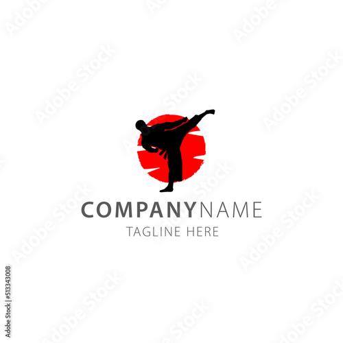 karate kick warrior logo vector