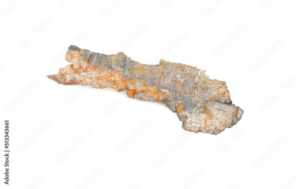 Shell fragment isolated
