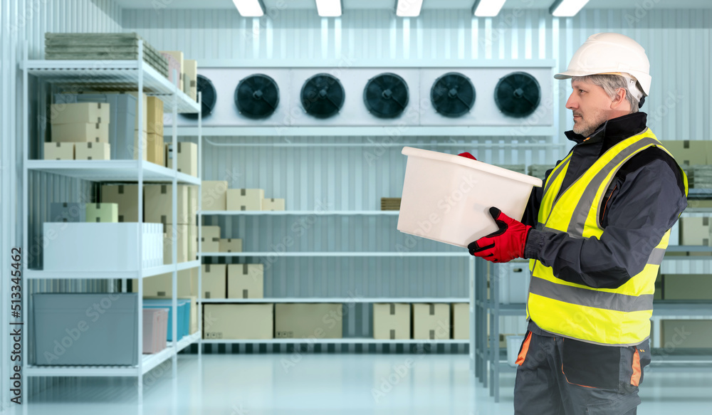 Refrigeration chamber for food storage. Man with box in freezer. Industrial refrigerator. Warehouse with modern cooling system. Refrigeration chamber for food storage. Refrigeration equipment sale Refrigeration chamber for food storage. Man with box in freezer. Industrial refrigerator. Warehouse with modern cooling system. Refrigeration chamber for food storage. Refrigeration equipment sale